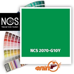 NCS 2070-G10Y фото