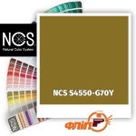 NCS S4550-G70Y