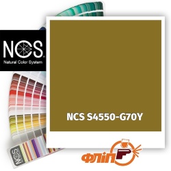 NCS S4550-G70Y фото