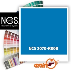 NCS 2070-R80B фото