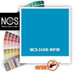 NCS 2458-R91B