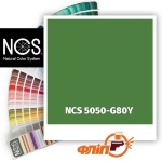 NCS 5050-G80Y
