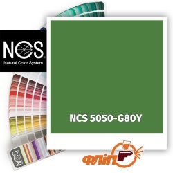 NCS 5050-G80Y фото