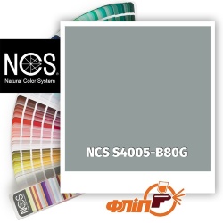 NCS S4005-B80G фото