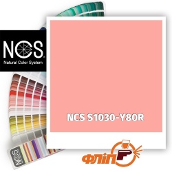 NCS S1030-Y80R фото