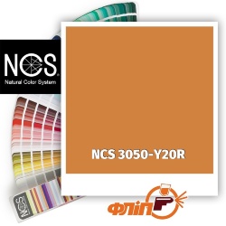 NCS 3050-Y20R фото