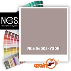 NCS S4005-Y80R фото
