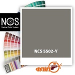 NCS 5502-Y