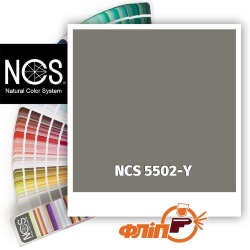 NCS 5502-Y фото