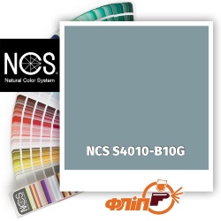 NCS S4010-B10G фото