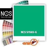 NCS S1565-G