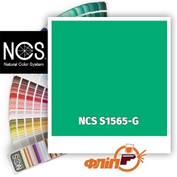 NCS S1565-G фото
