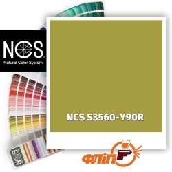 NCS S3560-Y90R фото