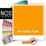 NCS S0585-Y20R
