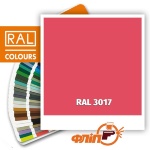 RAL 3017