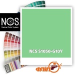 NCS S1050-G10Y