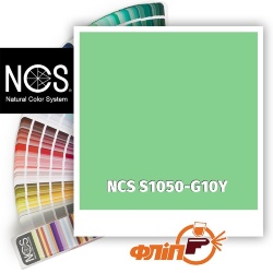 NCS S1050-G10Y фото
