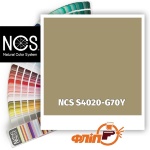 NCS S4020-G70Y