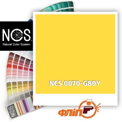 NCS 0070-G80Y фото