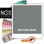 NCS 5005-B20G
