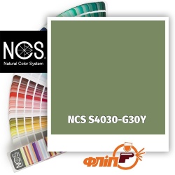 NCS S4030-G30Y фото