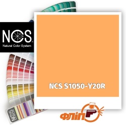 NCS S1050-Y20R фото