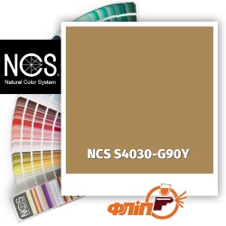 NCS S4030-G90Y фото
