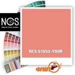 NCS S1050-Y80R