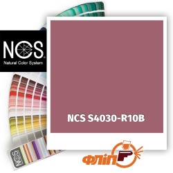 NCS S4030-R10B фото