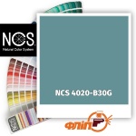 NCS 4020-B30G