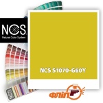 NCS S1070-G60Y