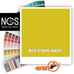 NCS S1070-G60Y фото