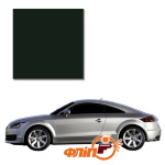 Sherwoodgruen LY6D – краска для автомобилей Audi