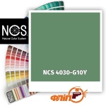 NCS 4030-G10Y