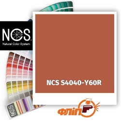NCS S4040-Y60R фото