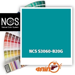 NCS S3060-B20G фото