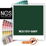 NCS 7217-G08Y