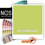 NCS S0560-G40Y