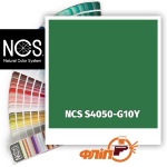 NCS S4050-G10Y