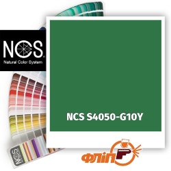 NCS S4050-G10Y фото