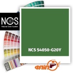 NCS S4050-G20Y