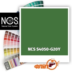 NCS S4050-G20Y фото