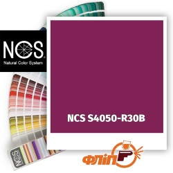 NCS S4050-R30B фото