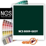 NCS 8009-G03Y
