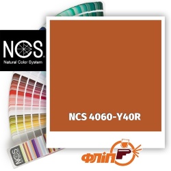 NCS 4060-Y40R фото