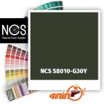 NCS S8010-G30Y