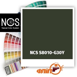NCS S8010-G30Y фото