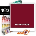 NCS 4647-R01B