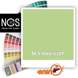 NCS 1040-G30Y фото
