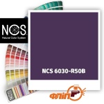NCS 6030-R50B